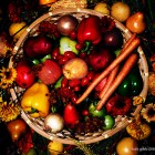 jídelničkem proti rakovině